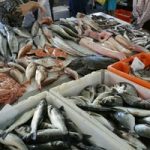 Aroma tourism in rio